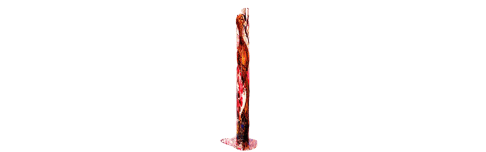 A tall pole with some meat on it
