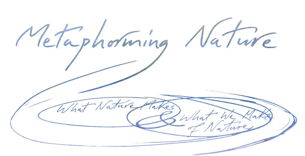 A blue and white banner with the words " ephemering network ".